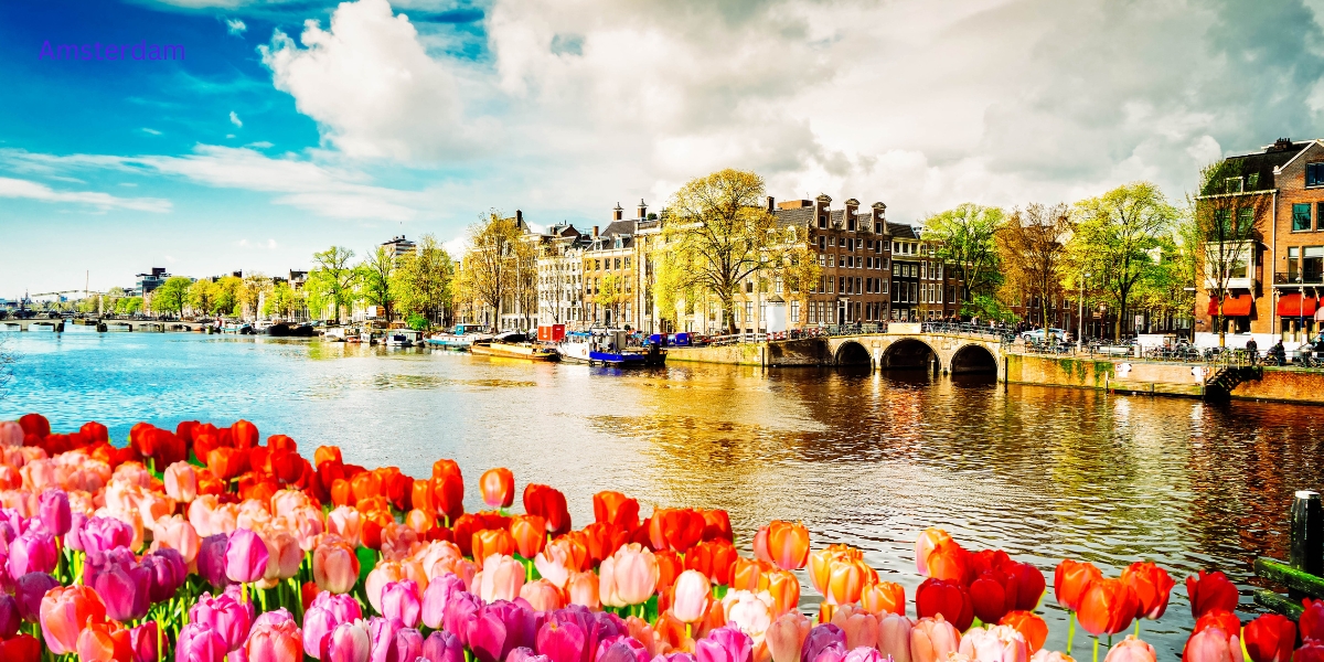 Amsterdam and Brussels